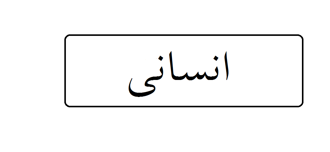 انسانی